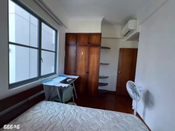 单间出租 • 红山 •  Springdale Condo • S$1200 • 共管公寓 • 普通房 照片
