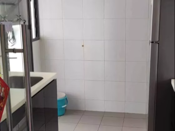 整套出租 • 樟宜湾 • TANJONG PAGAR ROAD (088501) • S$5200 • 4房(3臥室) • 1100ft² / 102m² 照片
