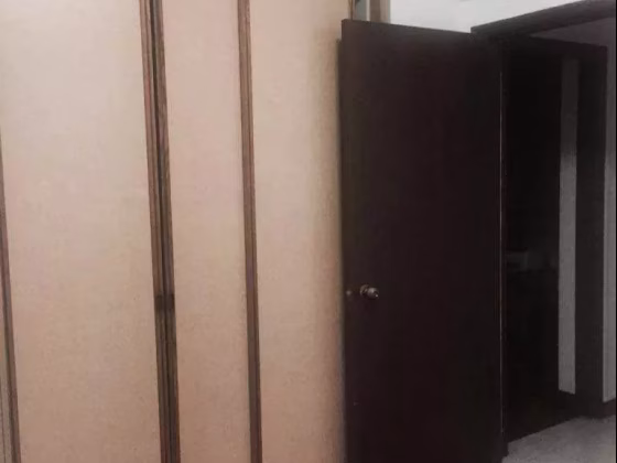 单间出租 • 乌节 •  Castle Green • S$1500 • 住宅公寓 • 普通房 照片