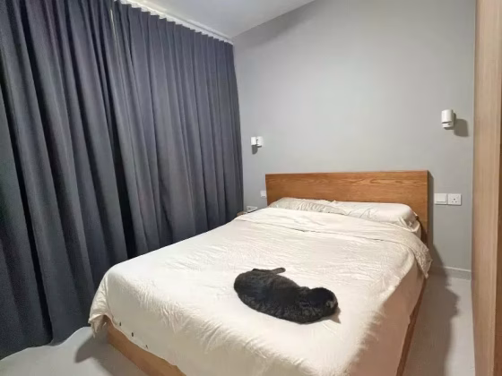 整套出租 • 西部集水区 • 637B Tampines Street 62 • S$3900 • 5房(4臥室) • 1220ft² / 113m² 照片
