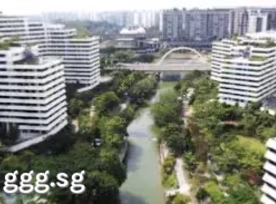 单间出租 • 樟宜 • 308A Punggol Walk • S$980 • 4房(3臥室) • 普通房 照片