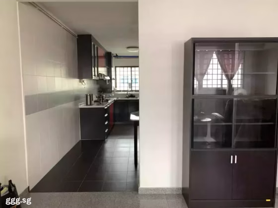 单间出租 • 中央集水区 • 235 Serangoon Avenue 3 • S$1200 • 4房(3臥室) • 普通房 照片