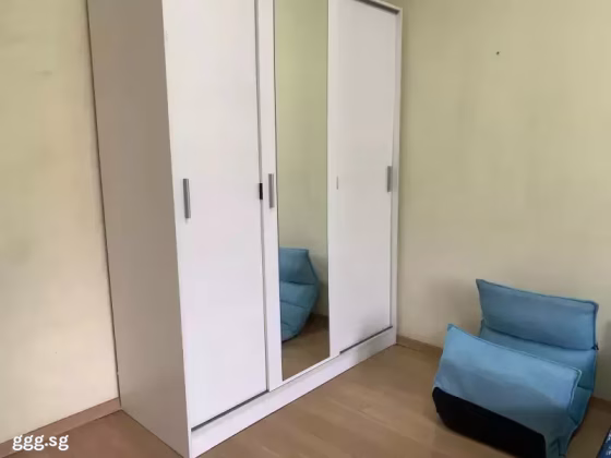 单间出租 • 中央集水区 • 235 Serangoon Avenue 3 • S$1200 • 4房(3臥室) • 普通房 照片