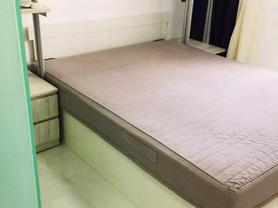 单间出租 • 欧南 •  Park 1 Suites • S$1680 • 住宅公寓 • 主人房 照片