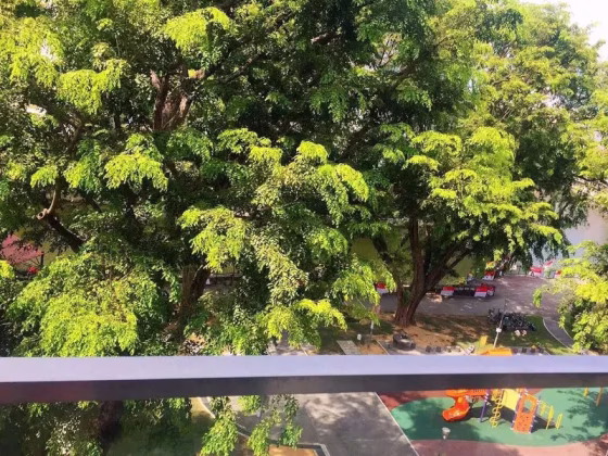 单间出租 • 欧南 •  Park 1 Suites • S$1680 • 住宅公寓 • 主人房 照片