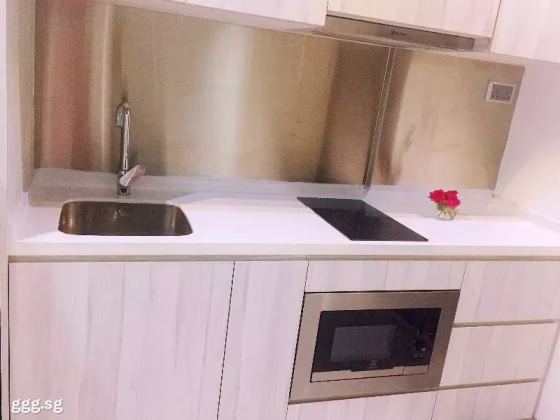 单间出租 • 欧南 •  Park 1 Suites • S$1680 • 住宅公寓 • 主人房 照片