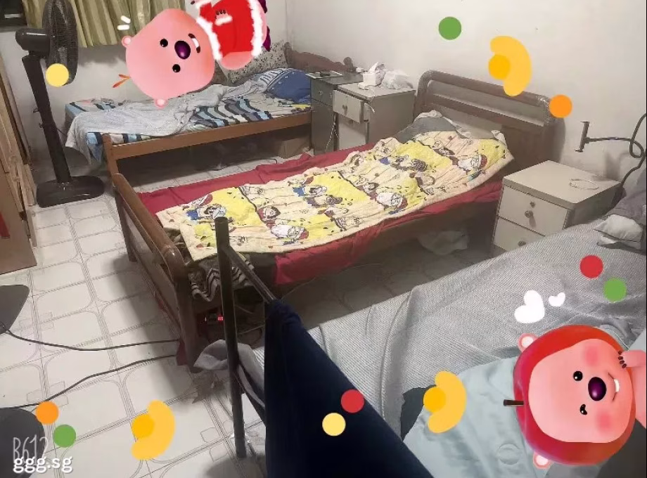 单间出租 • 武吉知马 • 55 Chai Chee Drive • S$350 • 4房(3臥室) • 普通房 照片