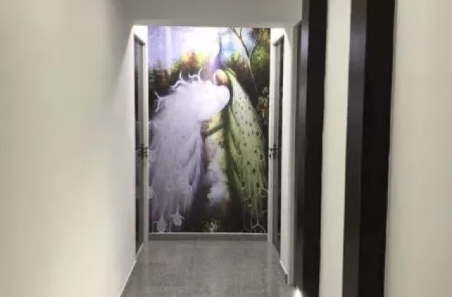 单间出租 • 三巴旺 • 893D Woodlands Drive 50 • S$900 • 执行组屋 • 普通房