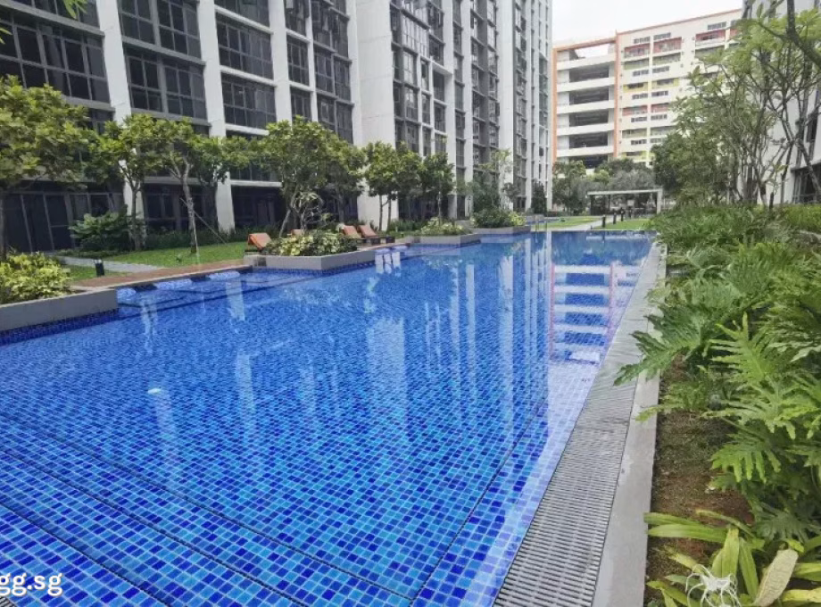 单间出租 • 梧槽 •  Symphony Suites • S$500 • 共管公寓 • 床位出租 照片