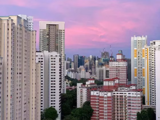 单间出租 • 金文泰 • 130 Bukit Merah View • S$1200 • 4房(3臥室) • 普通房 照片