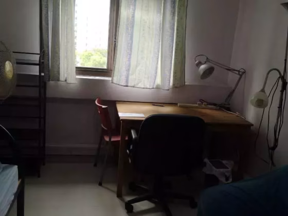 单间出租 • 林厝港 • 274A Jurong West Avenue 3 • S$800 • 执行组屋 • 普通房 照片