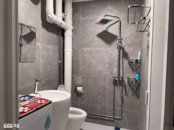 单间出租 • 芽笼 • 210 Choa Chu Kang Central • S$800 • 4房(3臥室) • 普通房 照片