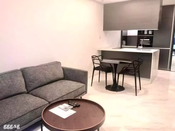 房屋出售 • 大巴窑 •  Cairnhill Nine • S$1700000 • 住宅公寓 • 603ft² / 56m² 照片