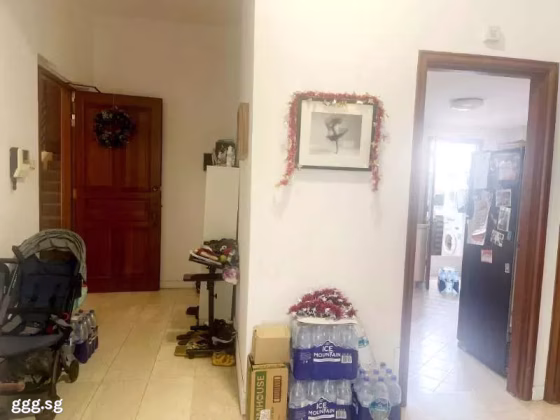 房屋出售 • 纽顿 •  Morimasa Garden • S$5000000 • 住宅公寓 • 2303ft² / 213m² 照片