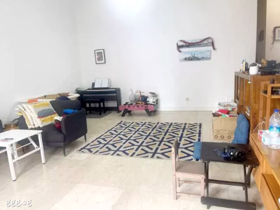 房屋出售 • 纽顿 •  Morimasa Garden • S$5000000 • 住宅公寓 • 2303ft² / 213m² 照片