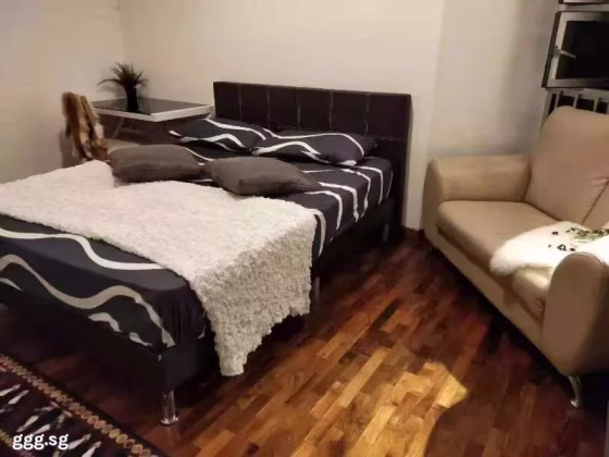 单间出租 • 纽顿 •  Ava Towers • S$1500 • 住宅公寓 • 普通房 照片