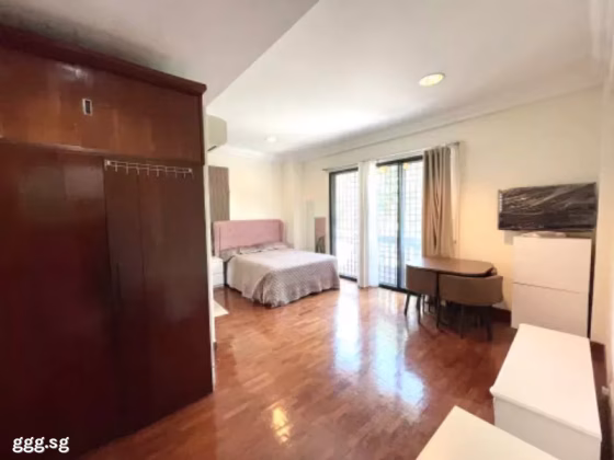 单间出租 • 武吉知马 • TEO KIM ENG ROAD (416395) • S$3800 • 独栋别墅 • 佣人房 照片