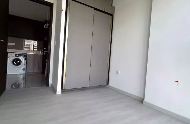 整套出租 • 新加坡河 •  Riverfront Residences • S$3600 • 2房(1臥室) • 603ft² / 56m²