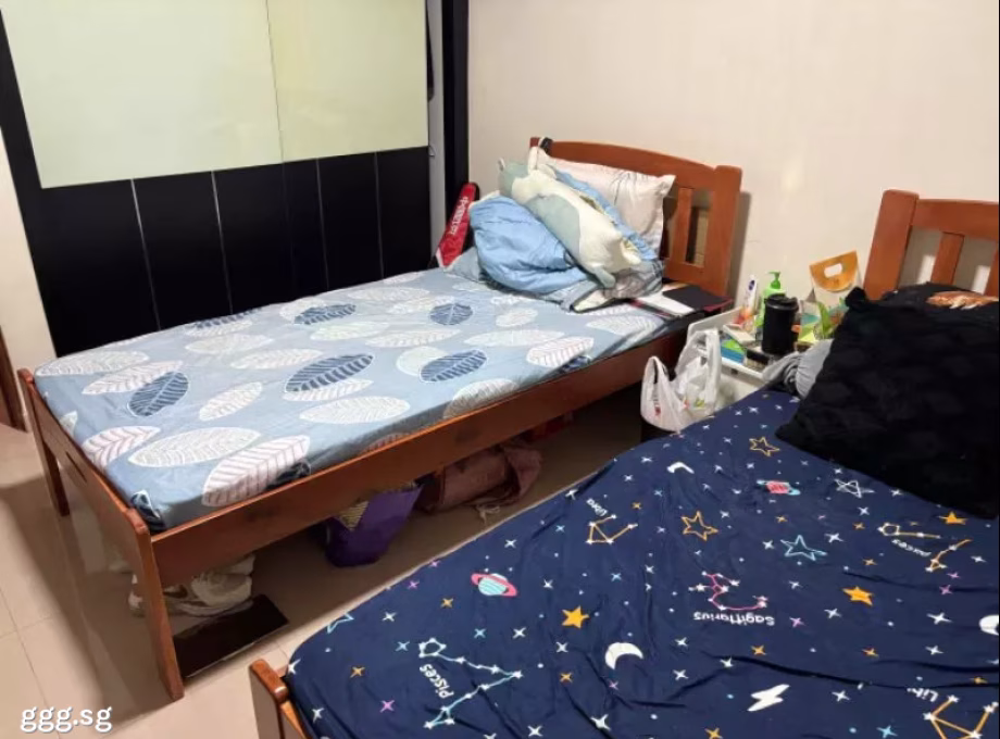 单间出租 • 新加坡河 •  Princeton Vale • S$1500 • 联排排屋 • 普通房 照片