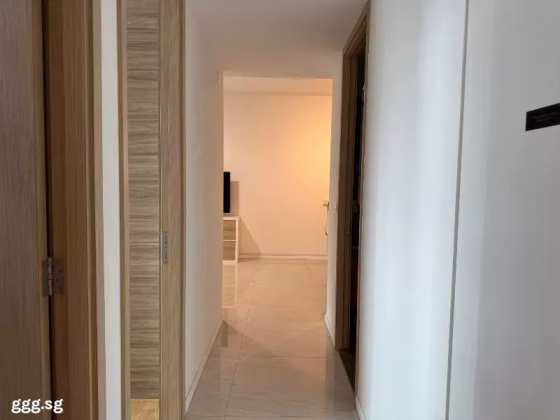 整套出租 • 新加坡河 •  Stars Of Kovan • S$5100 • 住宅公寓 • 946ft² / 87m² 照片