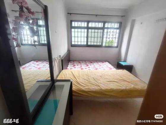 单间出租 • 后港 • 473 Sembawang Drive • S$850 • 3房(2臥室) • 普通房 照片