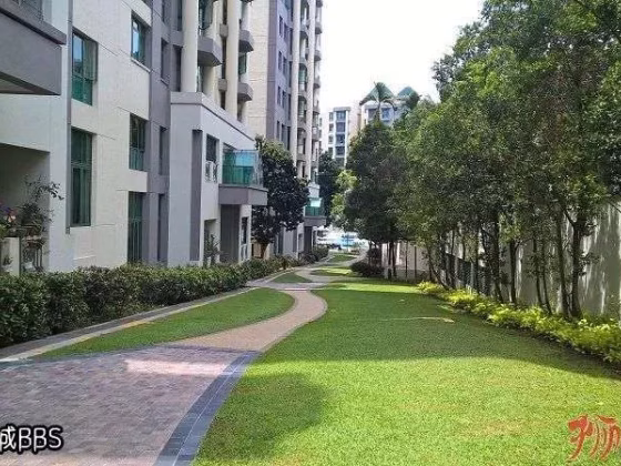 单间出租 • 诺维娜 •  Signature Park • S$1400 • 共管公寓 • 主人房 照片
