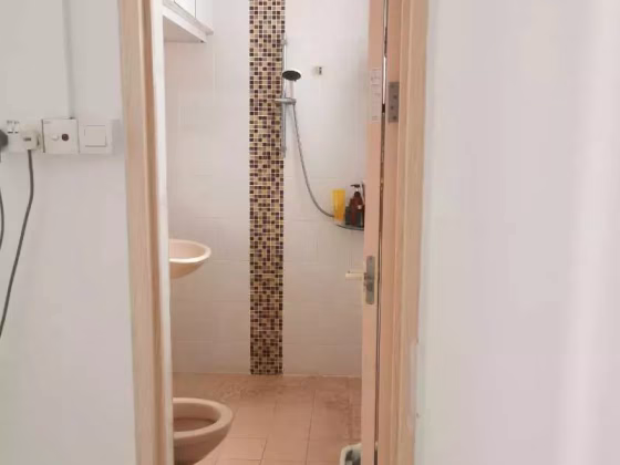 单间出租 • 中央集水区 • 239 Serangoon Avenue 2 • S$1350 • 4房(3臥室) • 主人房 照片