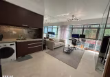 整套出租 • 淡滨尼 •  Icon • S$2950 • 共管公寓 • 570ft² / 52m²