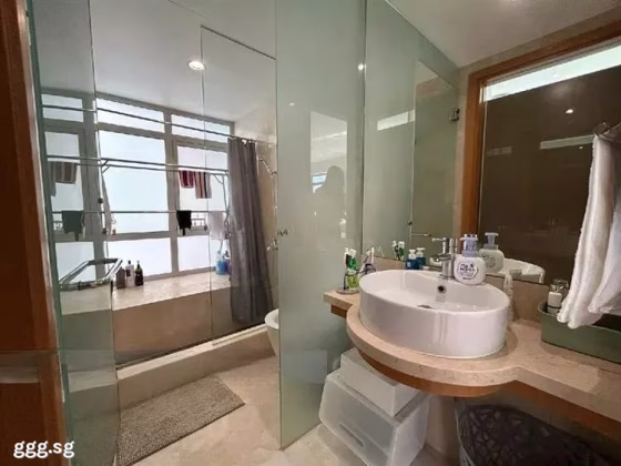 整套出租 • 淡滨尼 •  Icon • S$2950 • 共管公寓 • 570ft² / 52m² 照片