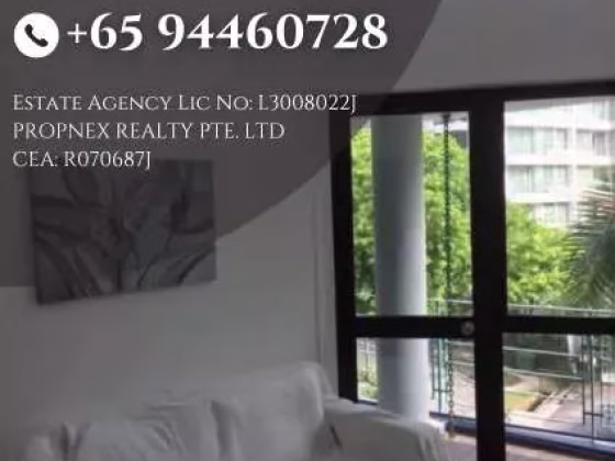 整套出租 • 南部群岛 •  Suites @ Sophia • S$2950 • 住宅公寓 • 430ft² / 39m² 照片