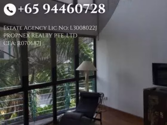 整套出租 • 南部群岛 •  Suites @ Sophia • S$2950 • 住宅公寓 • 430ft² / 39m² 照片