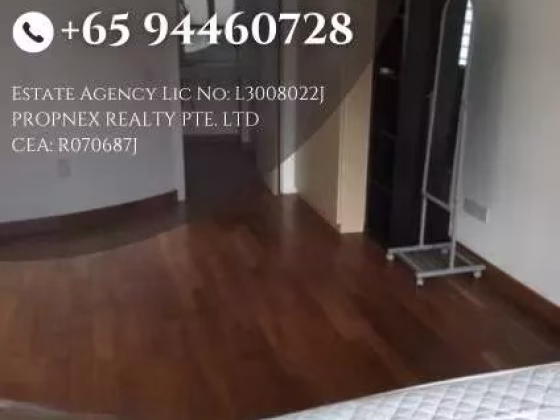 整套出租 • 南部群岛 •  Suites @ Sophia • S$2950 • 住宅公寓 • 430ft² / 39m² 照片