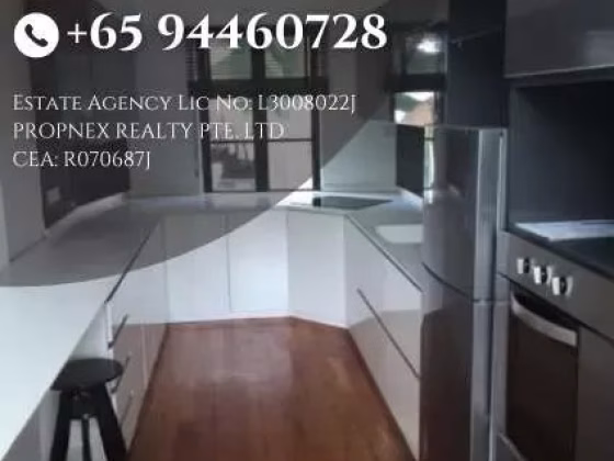 整套出租 • 南部群岛 •  Suites @ Sophia • S$2950 • 住宅公寓 • 430ft² / 39m² 照片