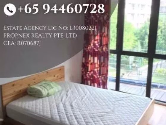 整套出租 • 南部群岛 •  Suites @ Sophia • S$2950 • 住宅公寓 • 430ft² / 39m² 照片