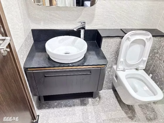 单间出租 • 欧南 •  Arena Residences • S$1800 • 住宅公寓 • 普通房 照片