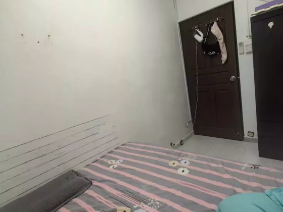 单间出租 • 纽顿 •  Treasure Loft • S$850 • 住宅公寓 • 普通房 照片