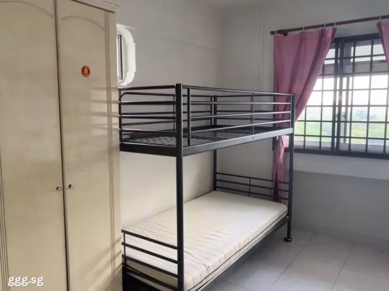 单间出租 • 西部集水区 • 496E Tampines Avenue 9 • S$750 • 5房(4臥室) • 普通房 照片