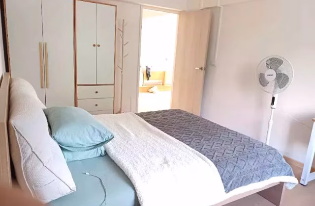 单间出租 • 林厝港 • 205 Boon Lay Drive • S$1500 • 5房(4臥室) • 主人房