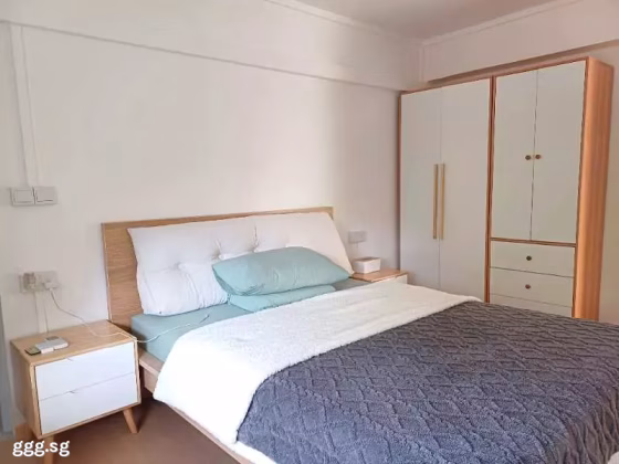 单间出租 • 林厝港 • 205 Boon Lay Drive • S$1500 • 5房(4臥室) • 主人房 照片