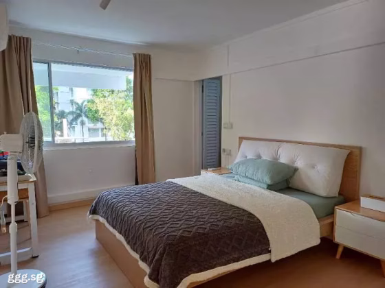 单间出租 • 林厝港 • 205 Boon Lay Drive • S$1500 • 5房(4臥室) • 主人房 照片
