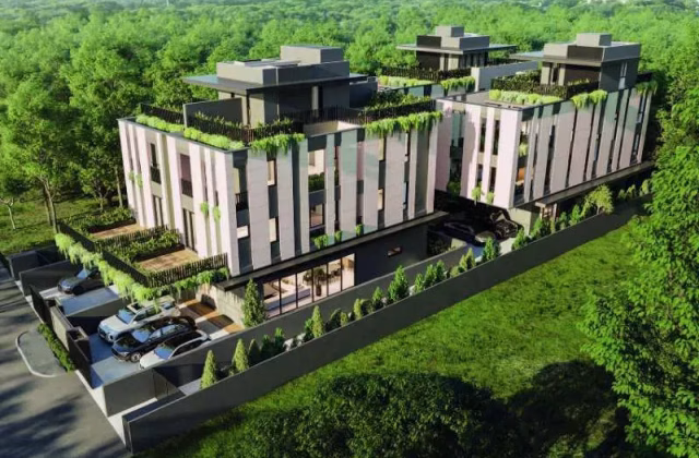 房屋出售 • 武吉知马 • PALM ROAD (456439) • S$8480000 • 双拼别墅 • 5708ft² / 530m²