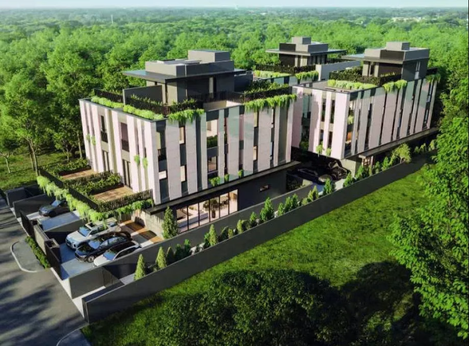房屋出售 • 武吉知马 • PALM ROAD (456439) • S$8480000 • 双拼别墅 • 5708ft² / 530m² 照片