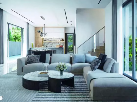 房屋出售 • 武吉知马 • PALM ROAD (456439) • S$8480000 • 双拼别墅 • 5708ft² / 530m² 照片