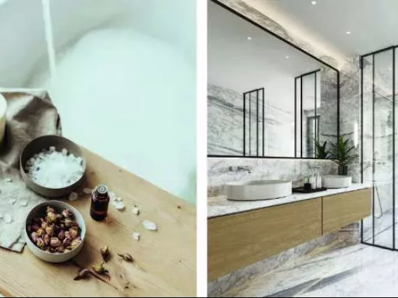 房屋出售 • 武吉知马 • PALM ROAD (456439) • S$8480000 • 双拼别墅 • 5708ft² / 530m² 照片
