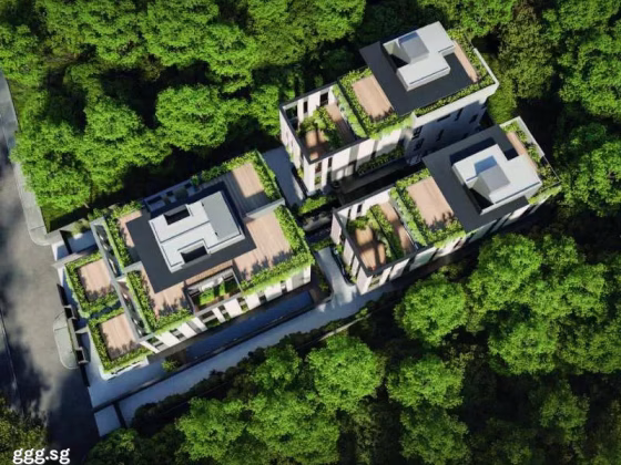 房屋出售 • 武吉知马 • PALM ROAD (456439) • S$8480000 • 双拼别墅 • 5708ft² / 530m² 照片