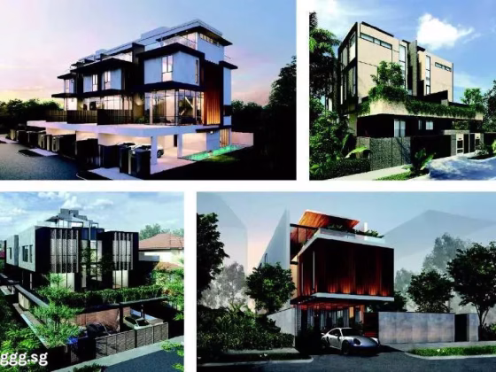 房屋出售 • 武吉知马 • PALM ROAD (456439) • S$8480000 • 双拼别墅 • 5708ft² / 530m² 照片