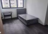 单间出租 • 碧山 • 171B Sengkang East Drive • S$850 • 3房(2臥室) • 普通房