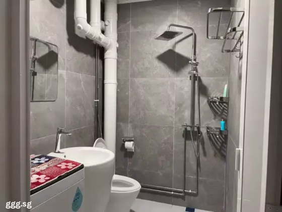 单间出租 • 芽笼 • 210 Choa Chu Kang Central • S$800 • 4房(3臥室) • 普通房 照片