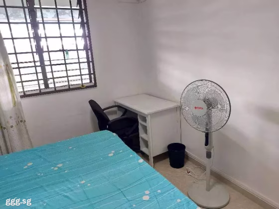 单间出租 • 武吉班让 • 339 Clementi Avenue 5 • S$1000 • 3房(2臥室) • 普通房 照片
