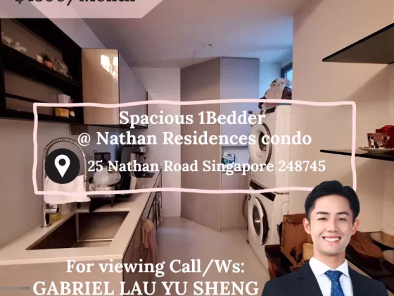 整套出租 • 兀兰 •  Nathan Residences • S$4000 • 住宅公寓 • 618ft² / 57m² 照片